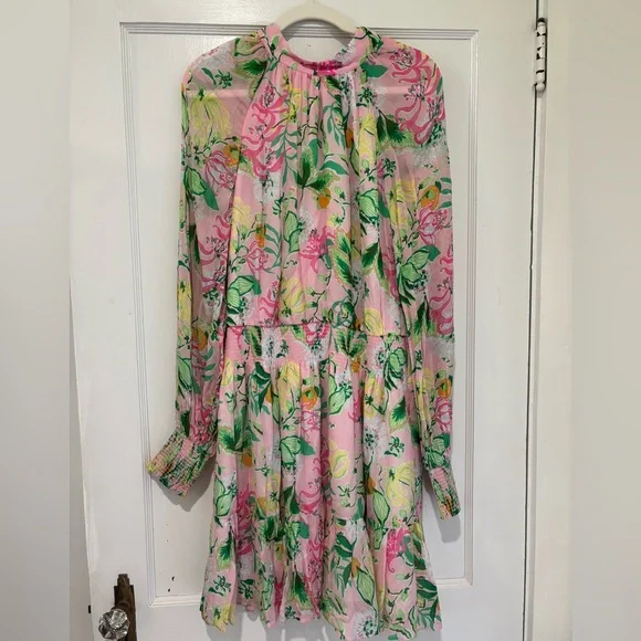 NWT Lilly Pulitzer Ellielynn Long Sleeve Dress - Picture 3 of 15